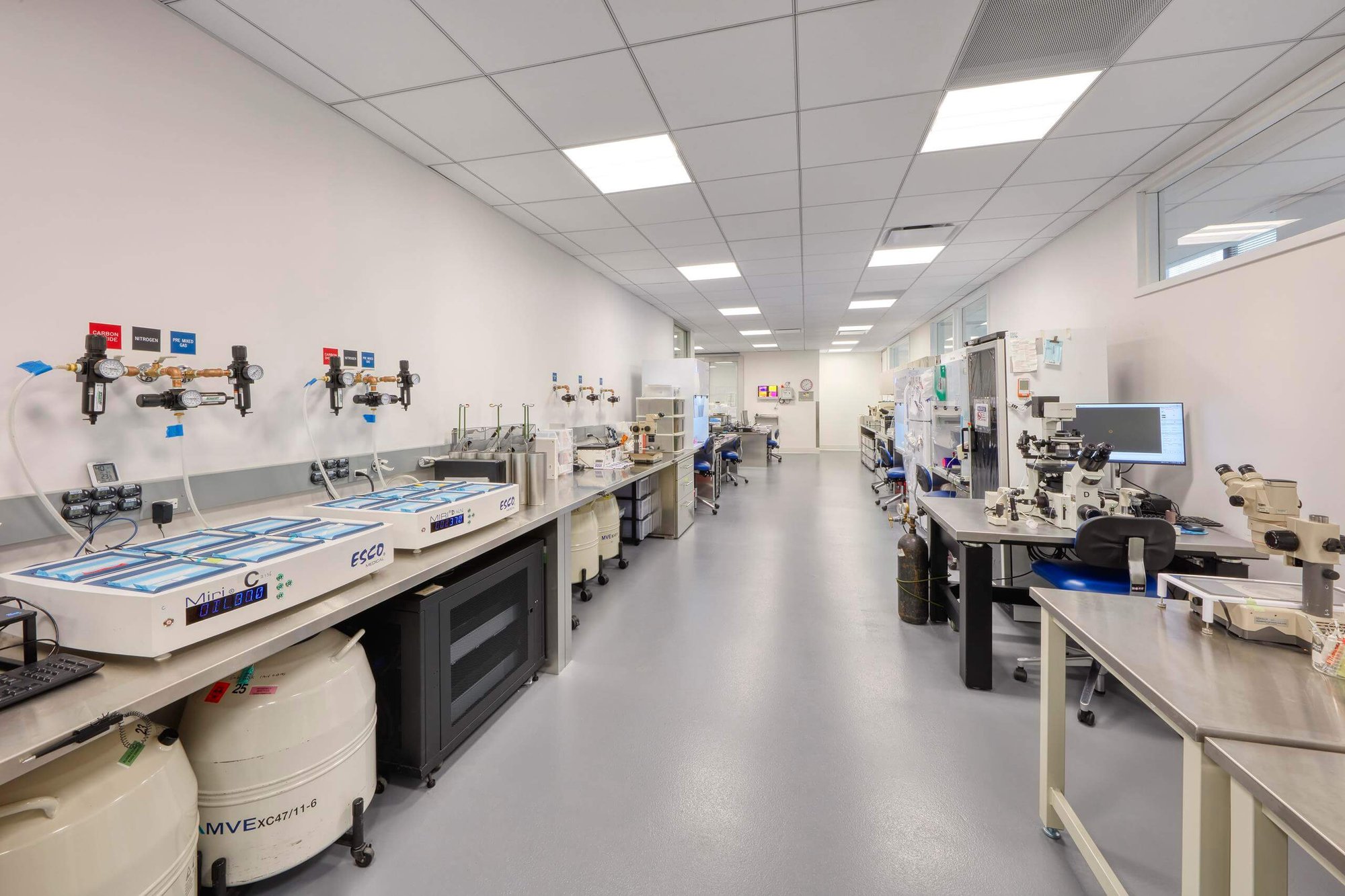 PFCLA Lab 2