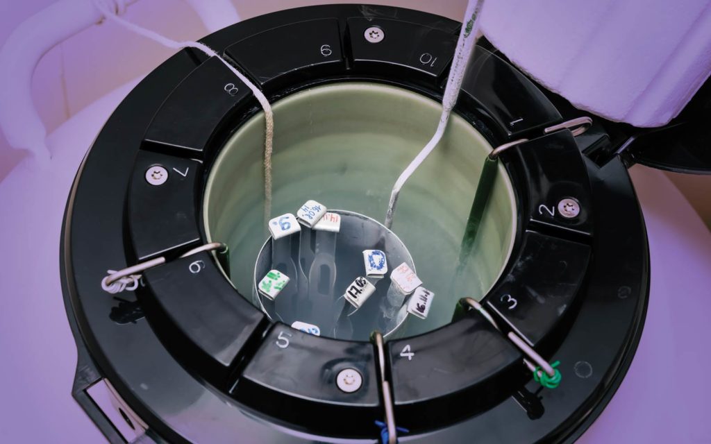 frozen sperm ivf with gay dads