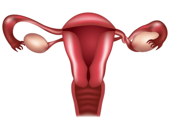 what is ovarian torsion