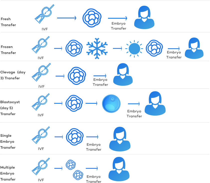 types of embryo transfers